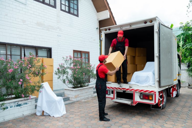 Professional movers loading truck after packiing